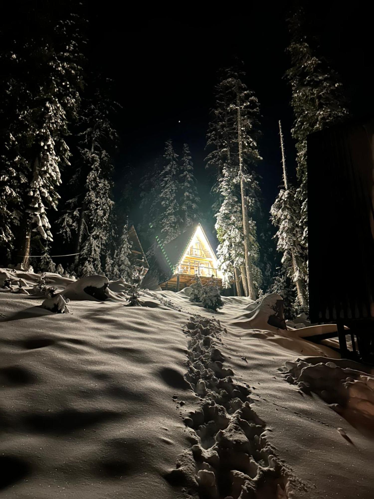 Bakhmaro A-Frame Villa Eksteriør bilde