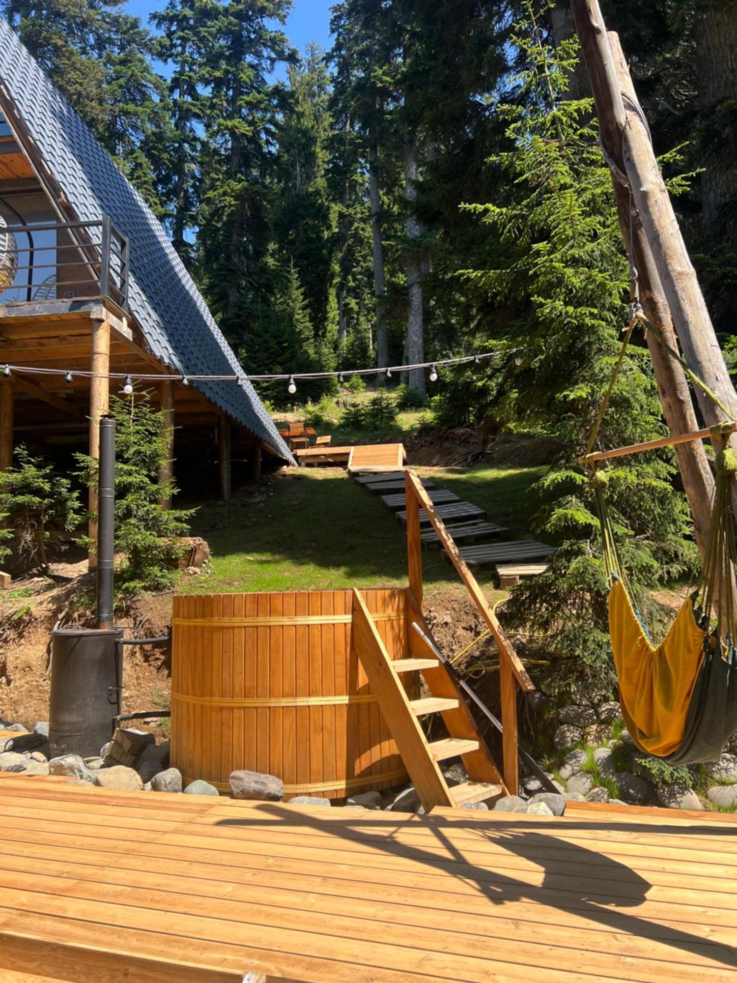 Bakhmaro A-Frame Villa Eksteriør bilde