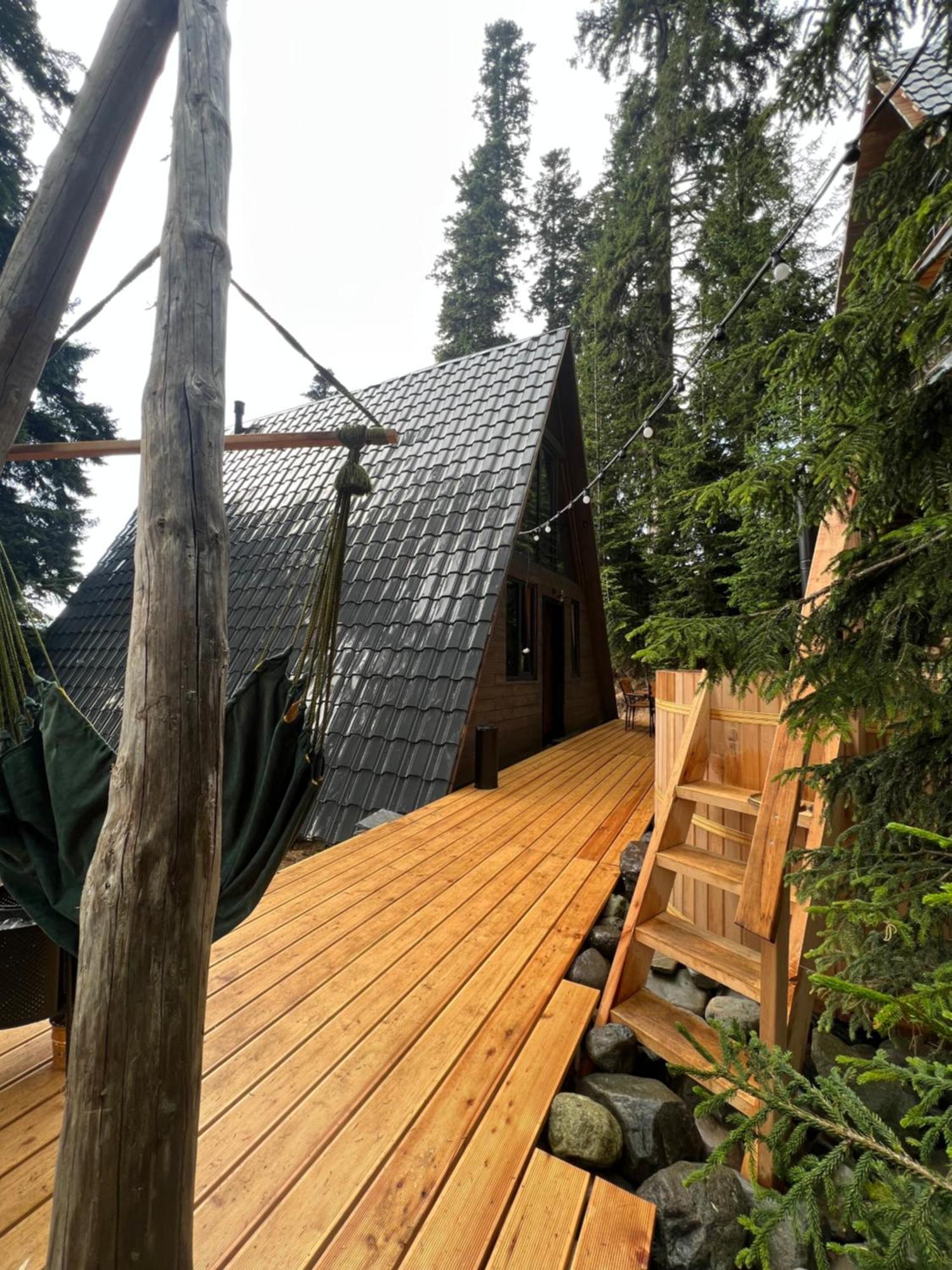 Bakhmaro A-Frame Villa Eksteriør bilde